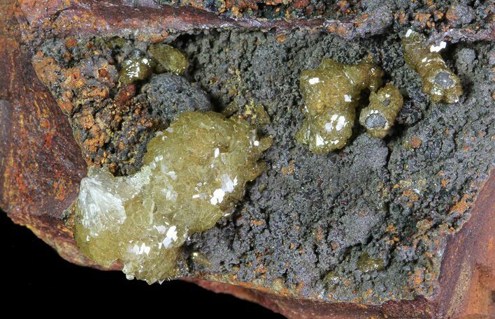 Gemmy, Yellow-Green Adamite Crystals - Durango, Mexico #65290
